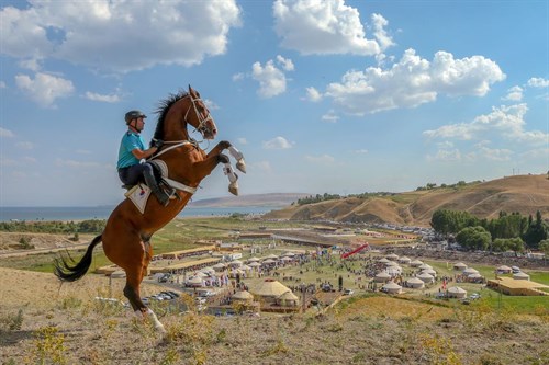 Jandarma At Köpek Eğitim Merkezi