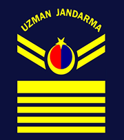 Uzman Jandarma VIII Kademeli Çavuş