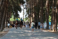 Fotoğraf-1