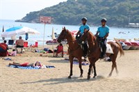 Fotoğraf-5